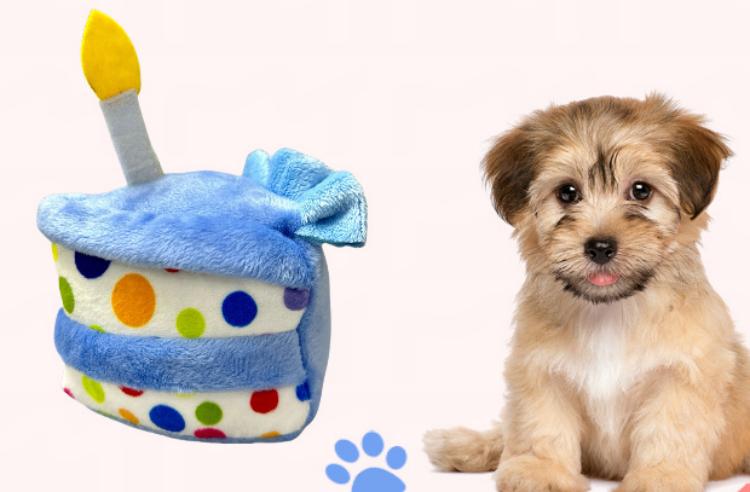 YSD Pet Birthday Plush Toys